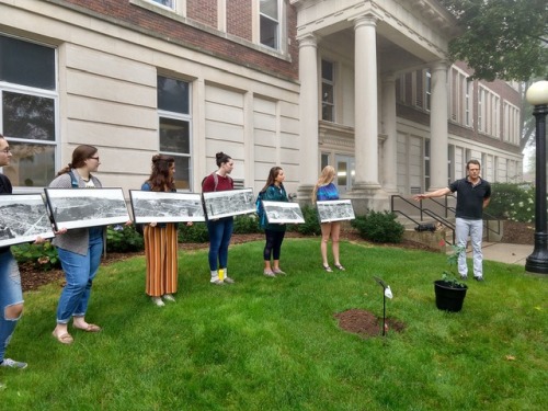 Students holding panoramic picture of the distruction of Hiroshima surround the jut planted Ginko tree